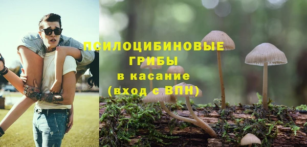PSILOCYBIN Навашино