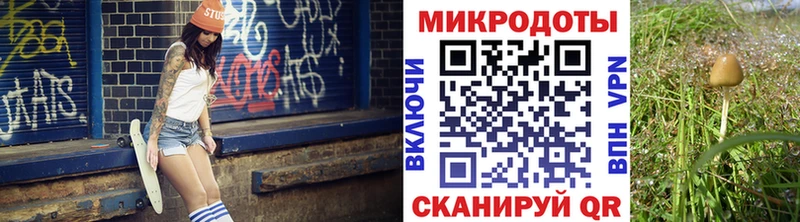 хочу наркоту  Сухиничи  Галлюциногенные грибы мицелий 