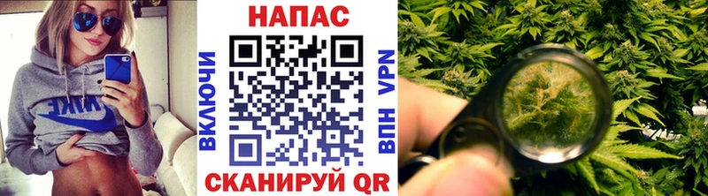 Бошки Шишки OG Kush  Сухиничи 